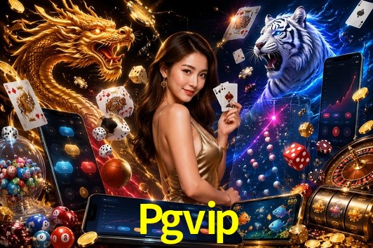 Statistics Pgvip