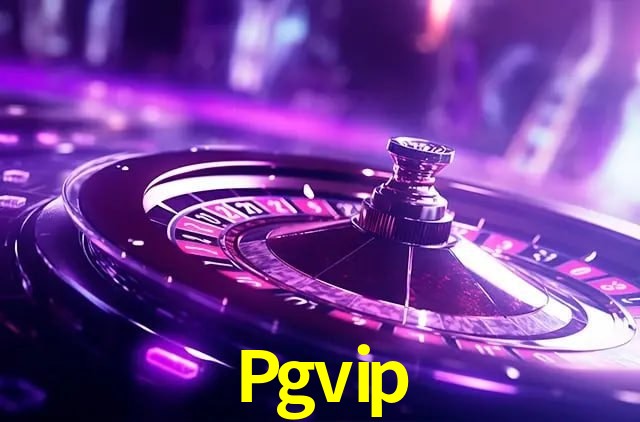 Interface Premium Pgvip